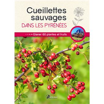 Cueillettes Sauvages Dans Les Pyrenees Glaner 60 Plantes Et Fruits Broche Collectif Achat Livre Fnac