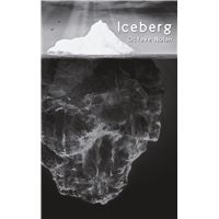 Iceberg