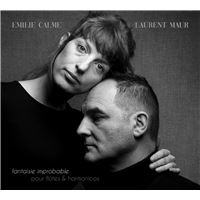 Fantaisie Improbable pour flûtes et harmonicas