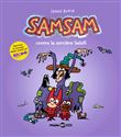 SamSam contre la sorcière Salsifi