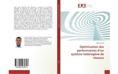 Optimisation des performances d'un systeme heterogene de res