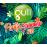 Gulli Party Summer 2017 Coffret_0