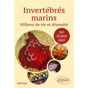 Invertébrés marins. Milieux de vie et diversité