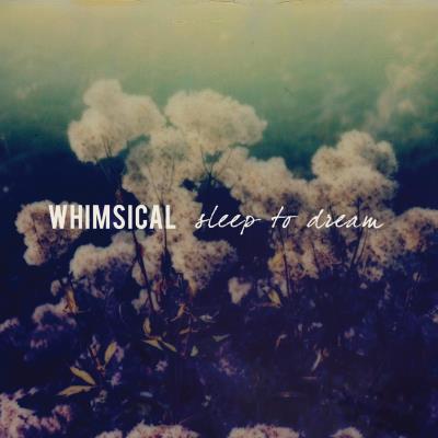 SLEEP TO DREAM