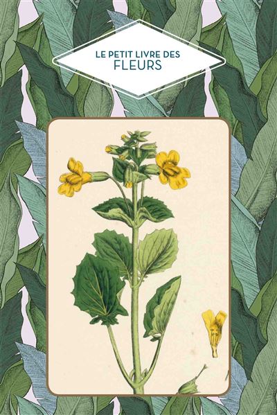 Le petit livre des fleurs - Dominique Pen Du - relié
