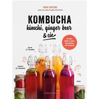 Kombucha, kimchi, ginger beer & Cie