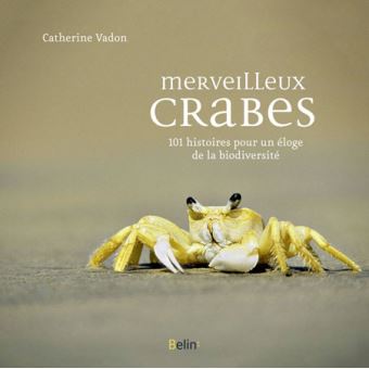 Merveilleux crabes - 1