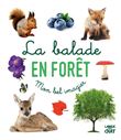 La balade en forêt - Mon bel imagier