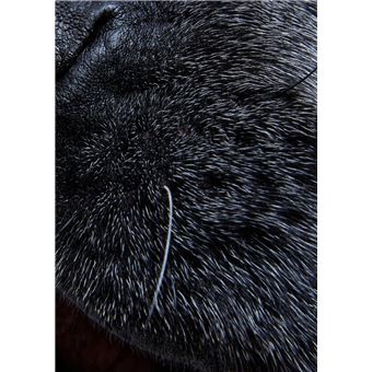 Bâtard N°2 - Septembre 2023