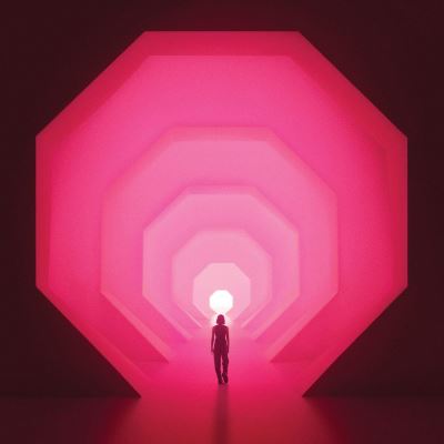 AMNIOVERSE/2LP