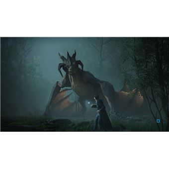 Hogwarts Legacy: L'Héritage de Poudlard Nintendo Switch