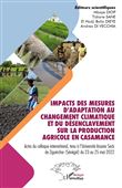 Impacts des mesures d'adaptation au changement climatique et du désenclavement sur la production agricole en Casamance