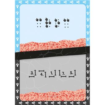 Dinosaures escape - boîte avec cartes et accessoires