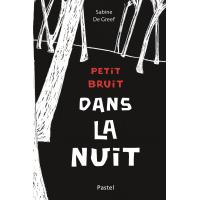 Petit bruit dans la nuit