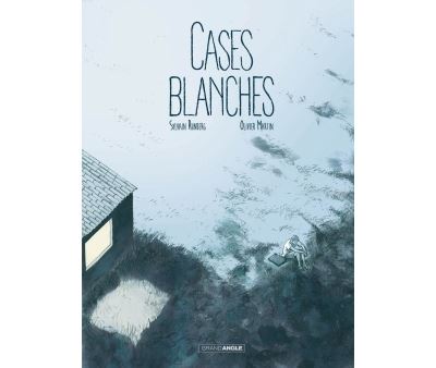 Cases blanches - histoire complète