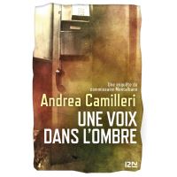 Une voix dans l'ombre