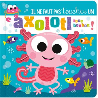 Il ne faut pas toucher un axolotl