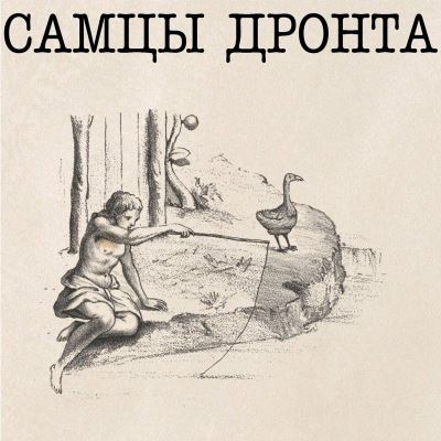 SAMTSI DRONTA