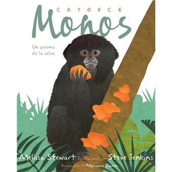 Catorce monos (Fourteen Monkeys) - 1