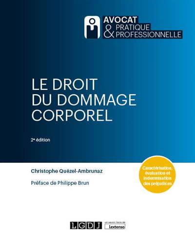 Le Droit Du Dommage Corporel Caract Risation Valuation Et Indemnisation Des Pr Judices