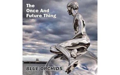 The once and future thing