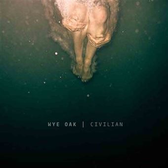 Wye Oak - 1