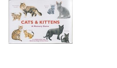 Cats & Kittens