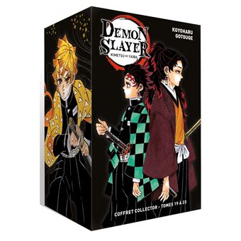 Coffret Demon Slayer T19 à