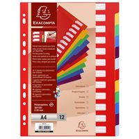 TABBLADEN A4 PP 30/100 12 INDELINGEN