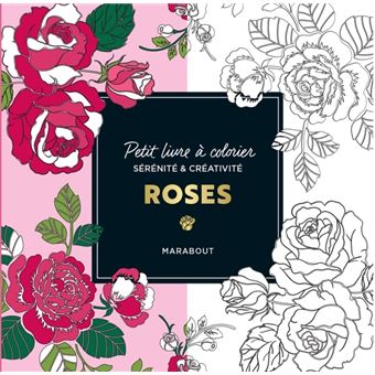 Petit livre à colorier - Rose