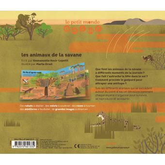 Des zoos d'animaux de la savane en pleinair 2e édition - RK Publishing