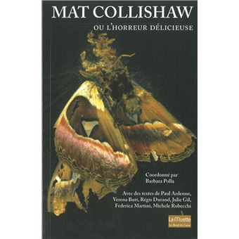 Matt Collishaw ou l'Horreur Delicieuse