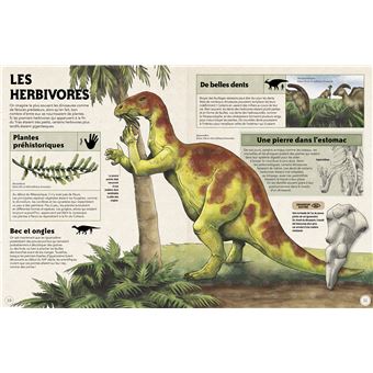 Dinosaures