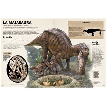 Dinosaures
