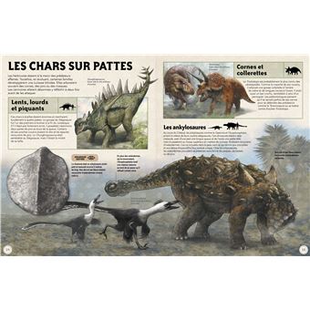 Dinosaures