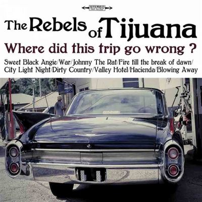 Where Did This Trip Go Wrong ?