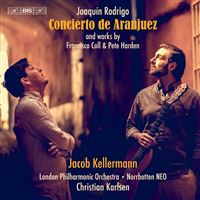 Concierto De Aranjuez - Guitar Concertos