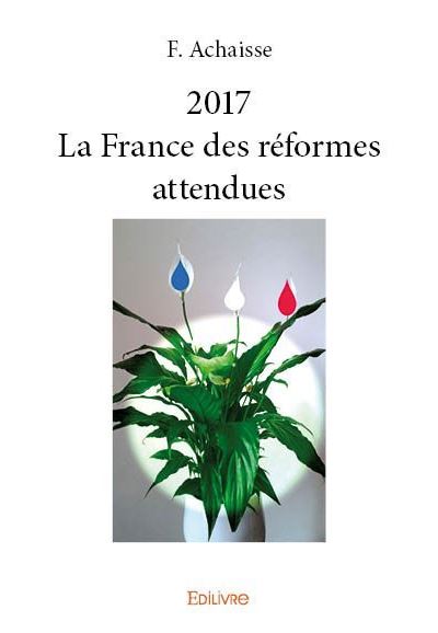 2017, La France des réformes attendues