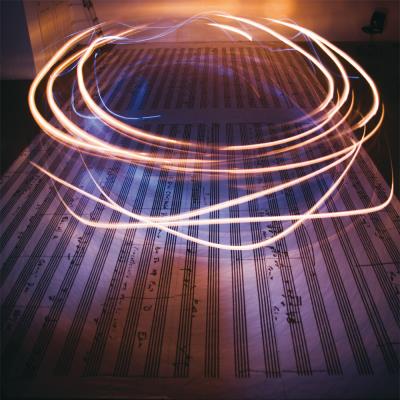 Roncycle1/the journey of a melody/inclus cd