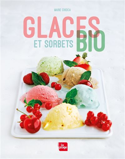 Glaces et sorbets bio (GS2)