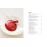 Glaces et sorbets bio - NED_2