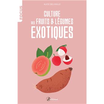 Culture de fruits et légumes exotiques