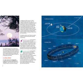 Jardiner avec la Lune en biodynamie 2020