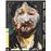 Baal DVD