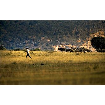 Courir autour du monde