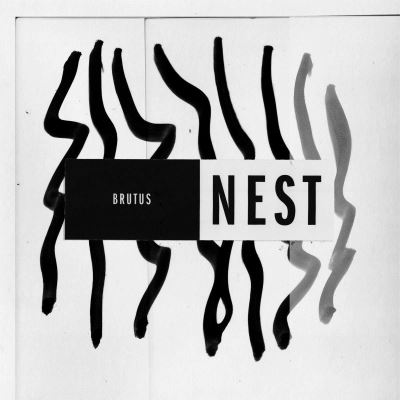 Nest/vinyle vert