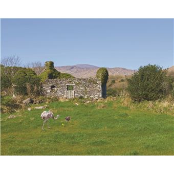 O'Loty et son trésor vert d'or, O'Loty and Its Golden-Green Treasure