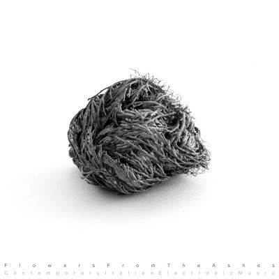 Flowers from the ashes/180gr/inclus mp3