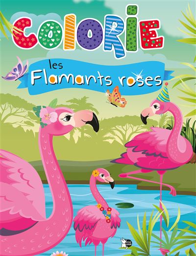 Colorie les Flamants Roses -  Collectif - broché