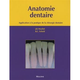 Anatomie Dentaire Application à La Pratique De La Chirurgie - Relié ...